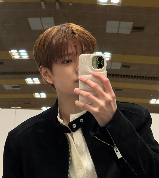 Urban Sophistication The Puffer Phone Case (Stray Kids Seungmin Wear)